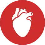 icon5